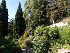 183 HYERES ET SES PALMIERS D02_000016
